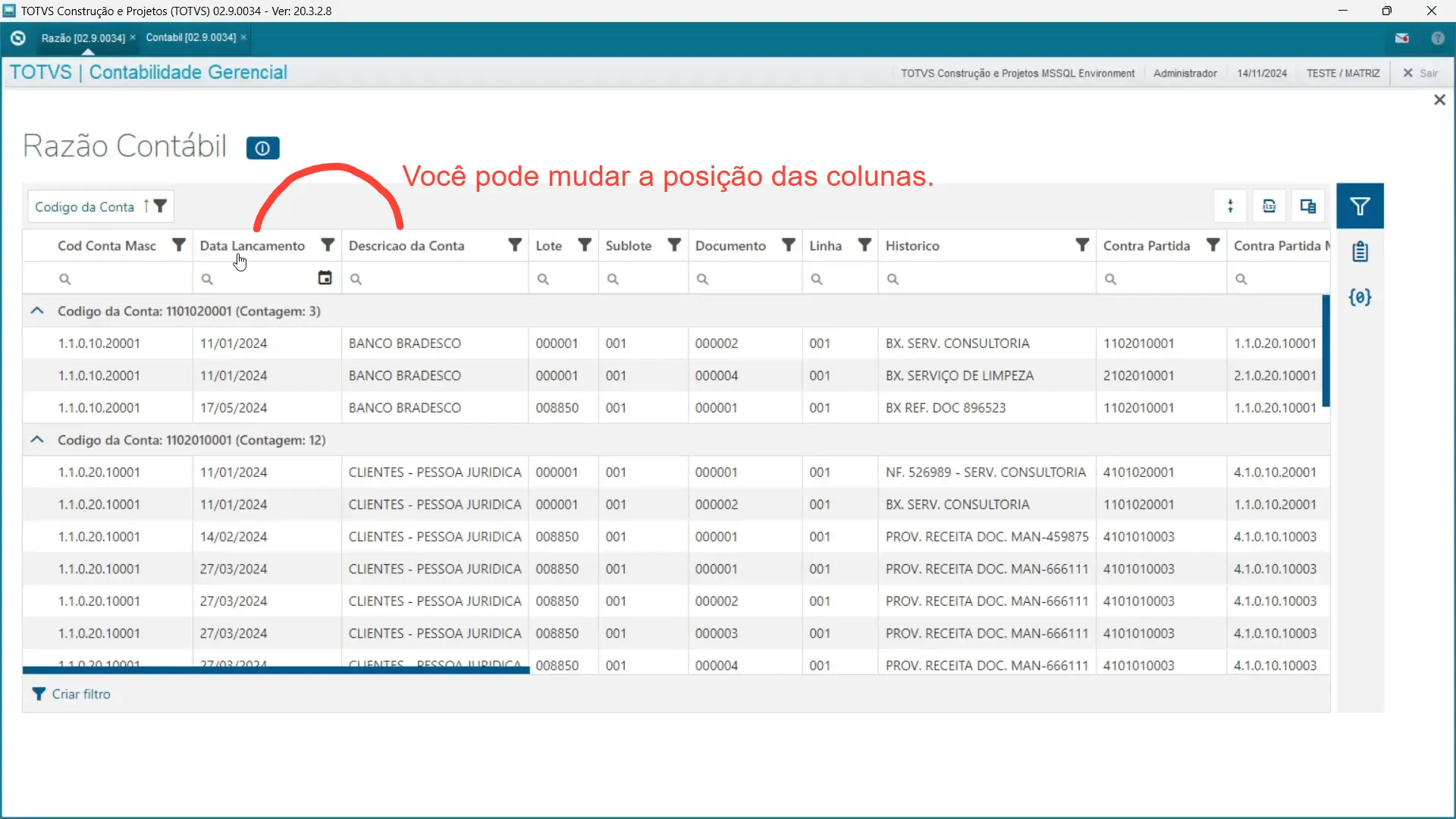 Razão com recurso visão de dados - Totvs Protheus