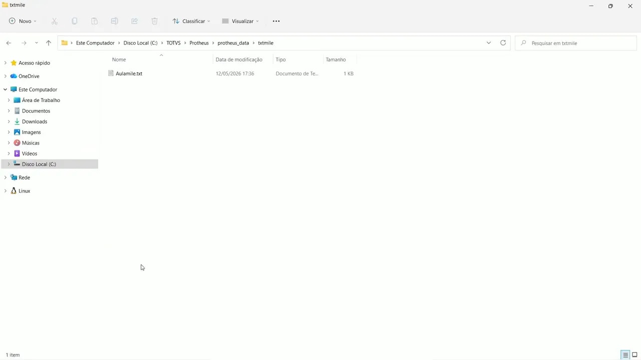 Conteúdo do arquivo Aualmile.txt exibindo linhas de clientes para importação pelo M.I.L.E.